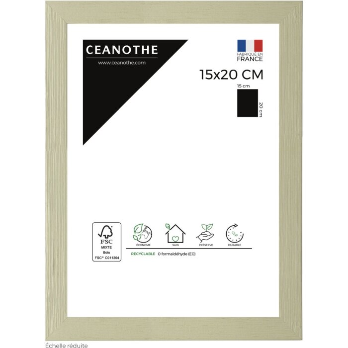Cornice Ceanothe Karma 15x20 cm verde lime
