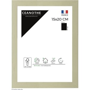 Cornice Ceanothe Karma 15x20 cm verde lime
