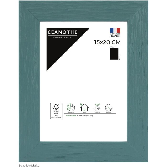 Ceanothe Cornice in legno Tutti Frutti 15x20 cm turchese
