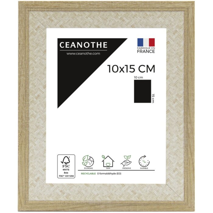 Cornice Palma 10x15 cm natura
