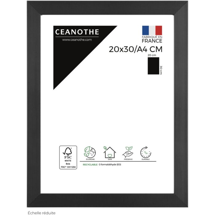 Cornice preziosa Ceanothe 20x30 cm antracite