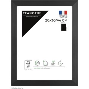 Cornice preziosa Ceanothe 20x30 cm antracite