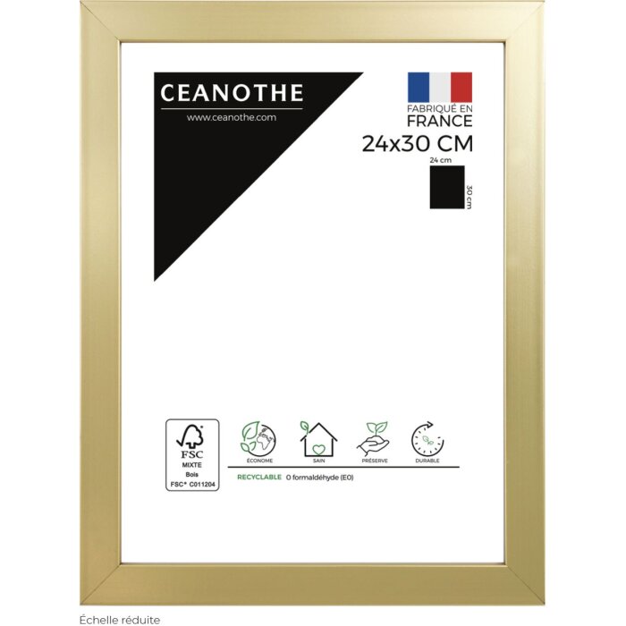 Cornice Precious 24x30 cm oro