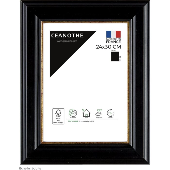Ceanothe Cornice Gaia 24x30 cm nero-oro