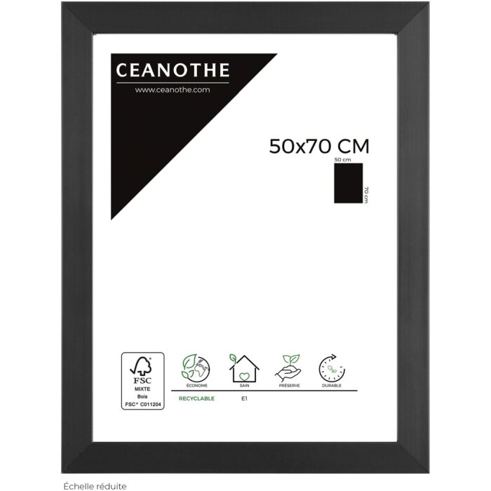 Cornice preziosa 50x70 cm antracite