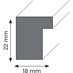 Cornice preziosa 50x70 cm antracite