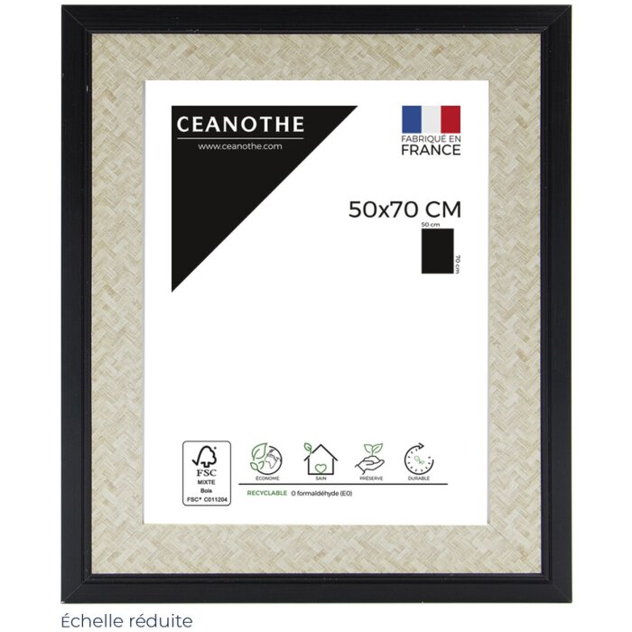 Cornice Palma 50x70 cm nero