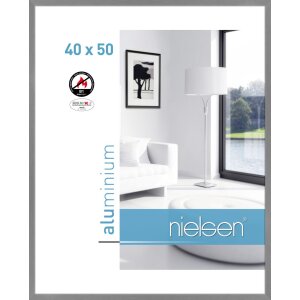 Telaio antincendio Nielsen C2 struttura grigio opaco...