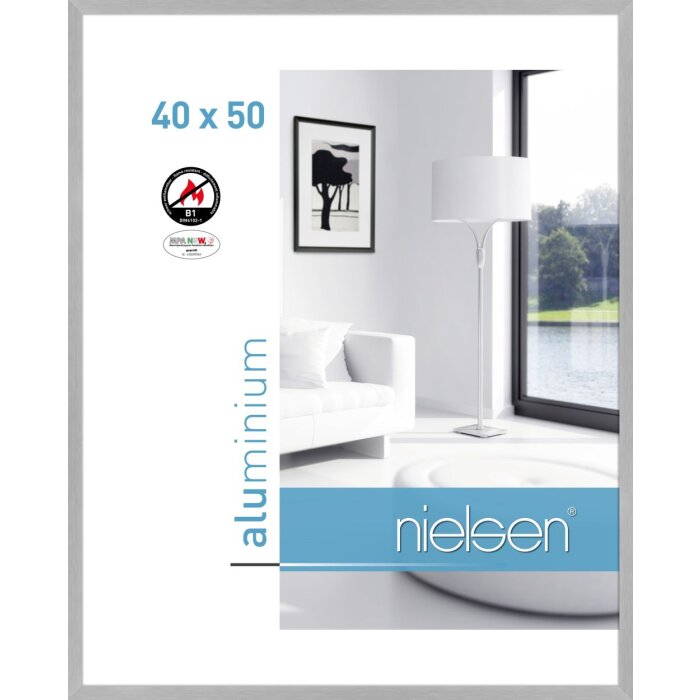 Nielsen Telaio antincendio c2 struttura argento opaco 40x50 cm
