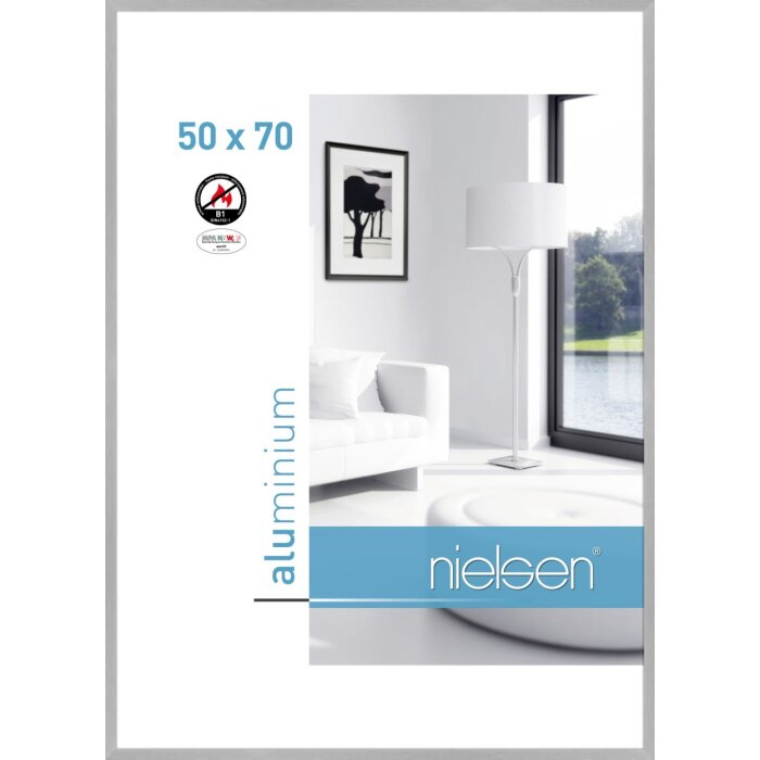 Cornice antincendio Nielsen C2 struttura argento opaco 50x70 cm