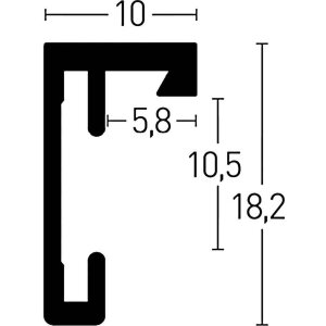 Cornice antincendio Nielsen C2 struttura argento opaco 50x70 cm