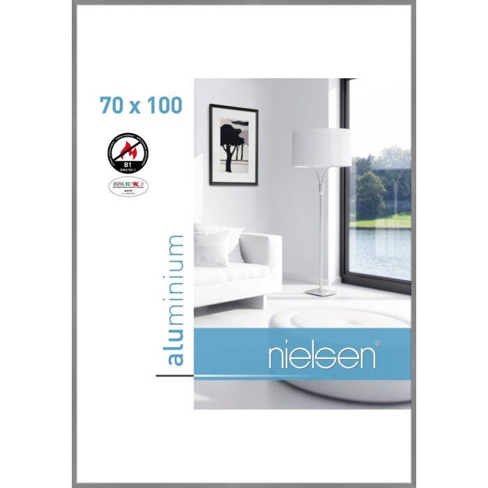 Nielsen Telaio antincendio C2 Struttura Grigio Opaco 70x100 cm