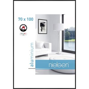 Nielsen Telaio antincendio C2 Struttura nero opaco 70x100 cm