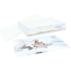 Telaio Shaker Deknudt S66FD9 Golden Stars 10x15 cm
