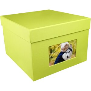 HNFD XL Photo Box Kandra 700 foto 15x20 cm maggio verde a righe