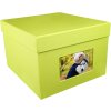 HNFD XL Photo Box Kandra 700 foto 15x20 cm maggio verde a righe