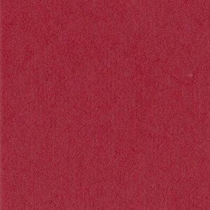 HNFD 10 divisori per scatole fotografiche 15x20 cm - Rosso Cardinale