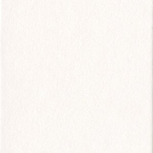 HNFD 10 divisori per scatole fotografiche 15x20 cm - Bianco Artico