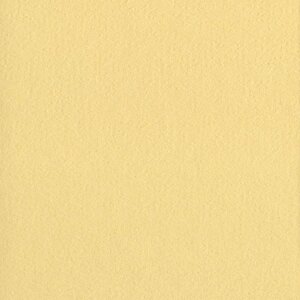 HNFD 10 cartoncini divisori per scatole fotografiche 15x20 cm - Paglierino