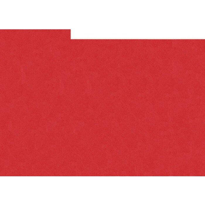 HNFD 10 Divisori Photo Box 15x20 cm - Rosso Ciliegia