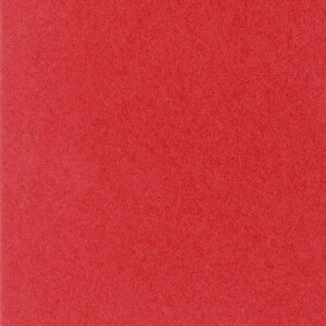 HNFD 10 Divisori Photo Box 15x20 cm - Rosso Ciliegia