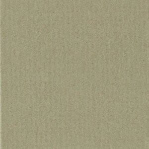 HNFD 10 Scatola fotografica Carte di separazione 15x20 cm - Pistacchio