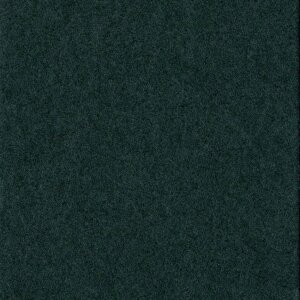 HNFD 10 divisori per scatole fotografiche 15x20 cm - Antracite
