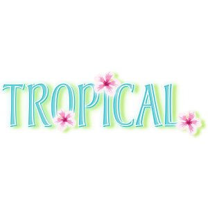 Cartella motivo HERMA A4 Tropicale - Famiglia dei cactus