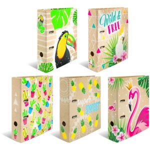 Cartella motivo HERMA A4 Tropicale - Famiglia dei cactus
