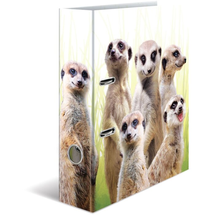 Cartella motivo HERMA A4 Animali esotici - gruppo di suricati