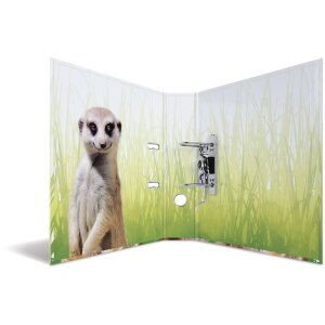 Cartella motivo HERMA A4 Animali esotici - gruppo di...