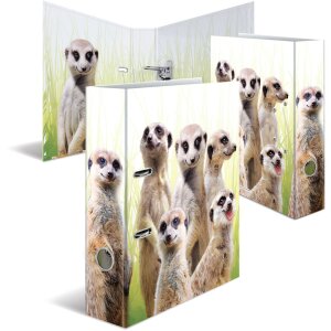 Cartella motivo HERMA A4 Animali esotici - gruppo di suricati