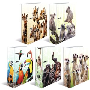 Cartella motivo HERMA A4 Animali esotici - gruppo di suricati