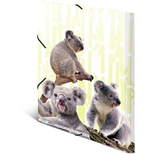 Cartella HERMA A4 PP - Famiglia Koala
