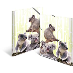 Cartella HERMA A4 PP - Famiglia Koala