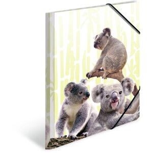 Cartella HERMA A4 PP - Famiglia Koala