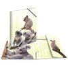 Cartella HERMA A4 PP - Famiglia Koala