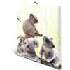 Cartella HERMA A4 PP - Famiglia Koala