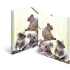 Cartella HERMA A4 PP - Famiglia Koala