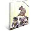 Cartella HERMA A4 PP - Famiglia Koala