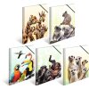 Cartella HERMA A4 PP - Famiglia Koala