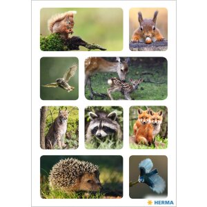 Adesivo HERMA Animali della foresta