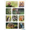Adesivo HERMA Animali della foresta
