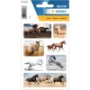 Adesivo HERMA cavalli selvaggi 3 fogli-pacchetto