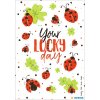 HERMA Adesivo il tuo giorno fortunato - seta lucida