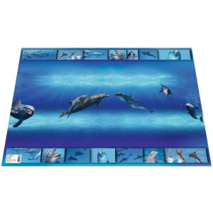 Tampone HERMA 550 x 350 mm - delfino
