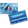 Tampone HERMA 550 x 350 mm - delfino