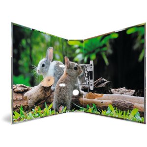 cartella herma motif a4 Animali - Roditori