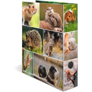 cartella herma motif a4 Animali - Roditori