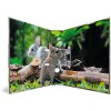 cartella herma motif a4 Animali - Roditori